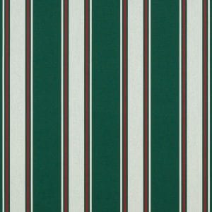 Forest Green Fancy Fabric